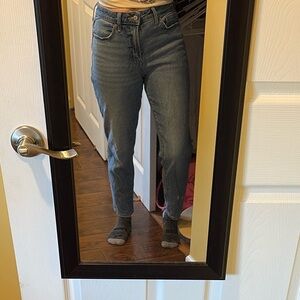 Old Navy Blue Ankle Cropped Jeans